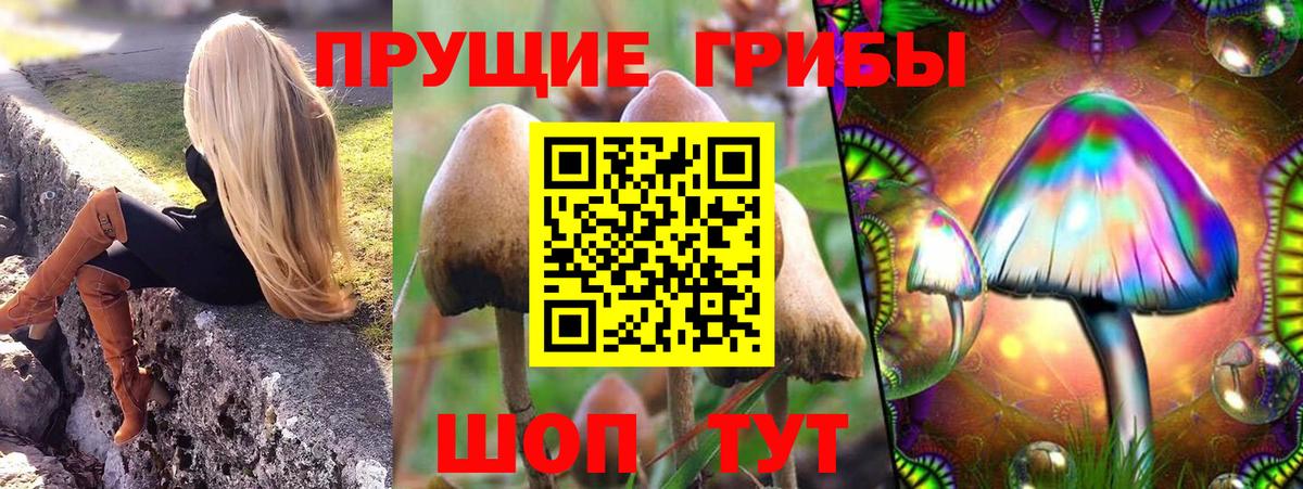 Балабаново  Галлюциногенные грибы MAGIC MUSHROOMS  Вход с VPN  купить  цена  Галлюциногенные грибы мицелий 